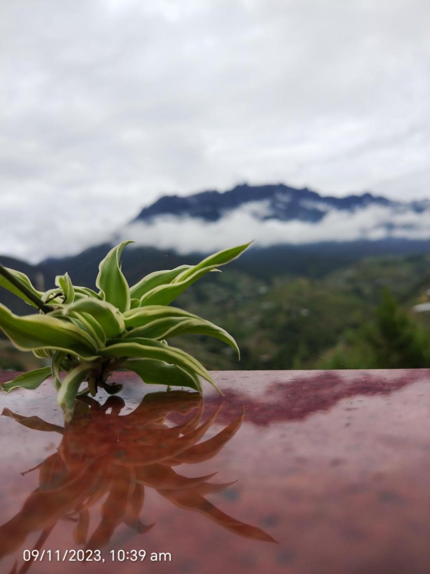 Highland Homestay Kundasang Ranau Eksteriør billede